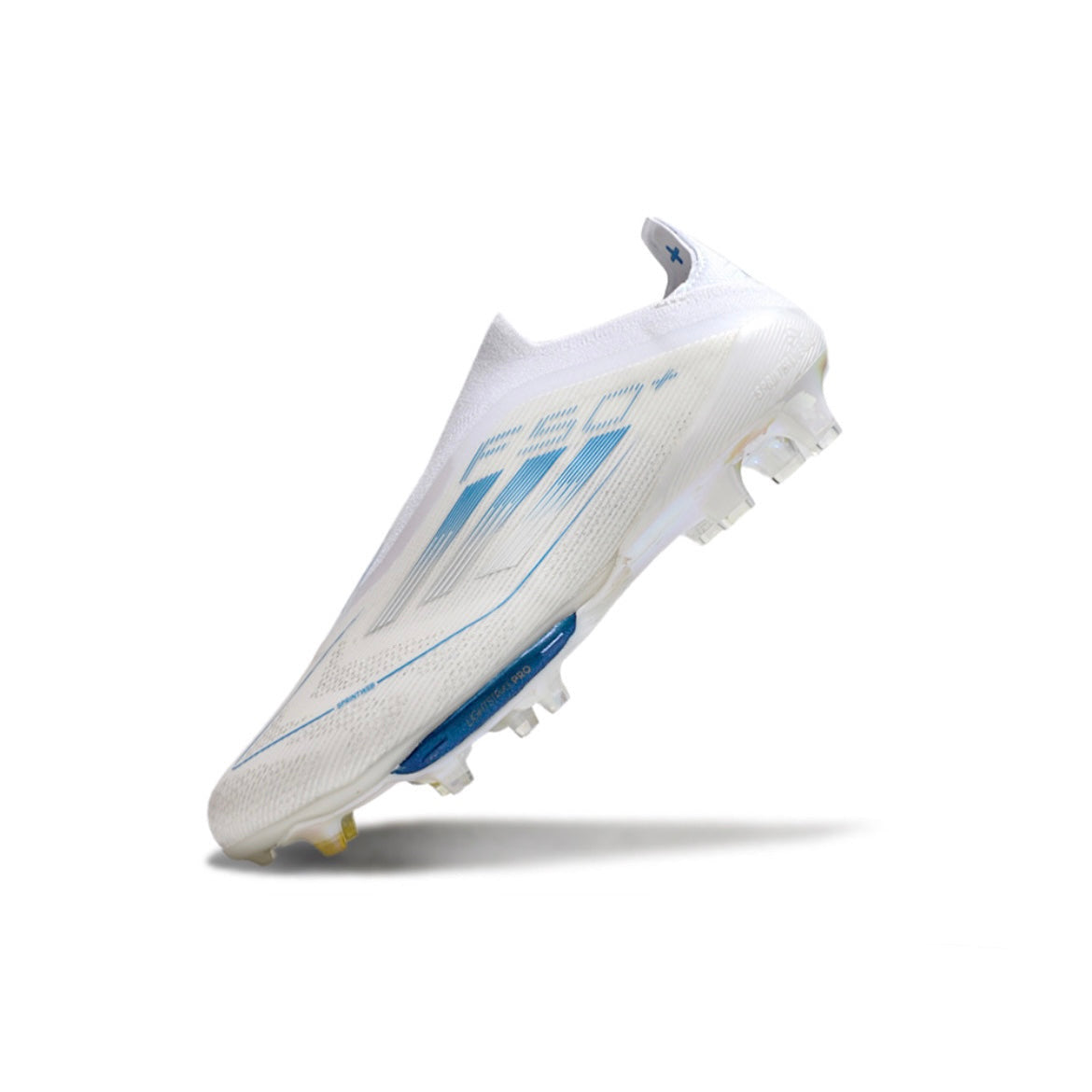 F50+ Polar victory
