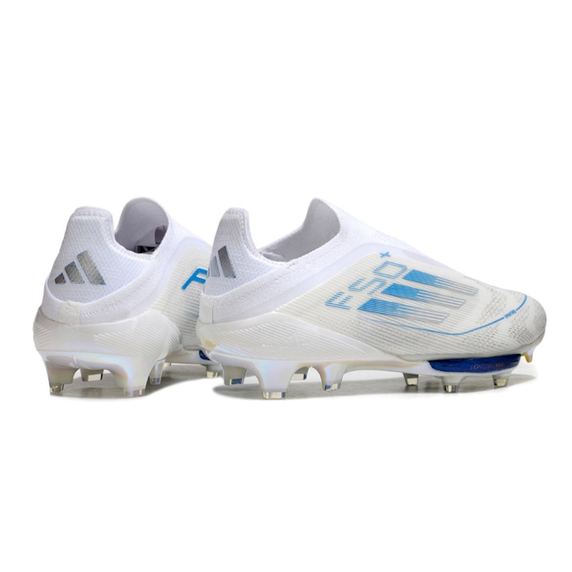 F50+ Polar victory